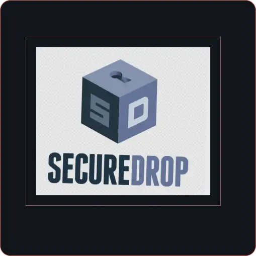 Secure document submission interface